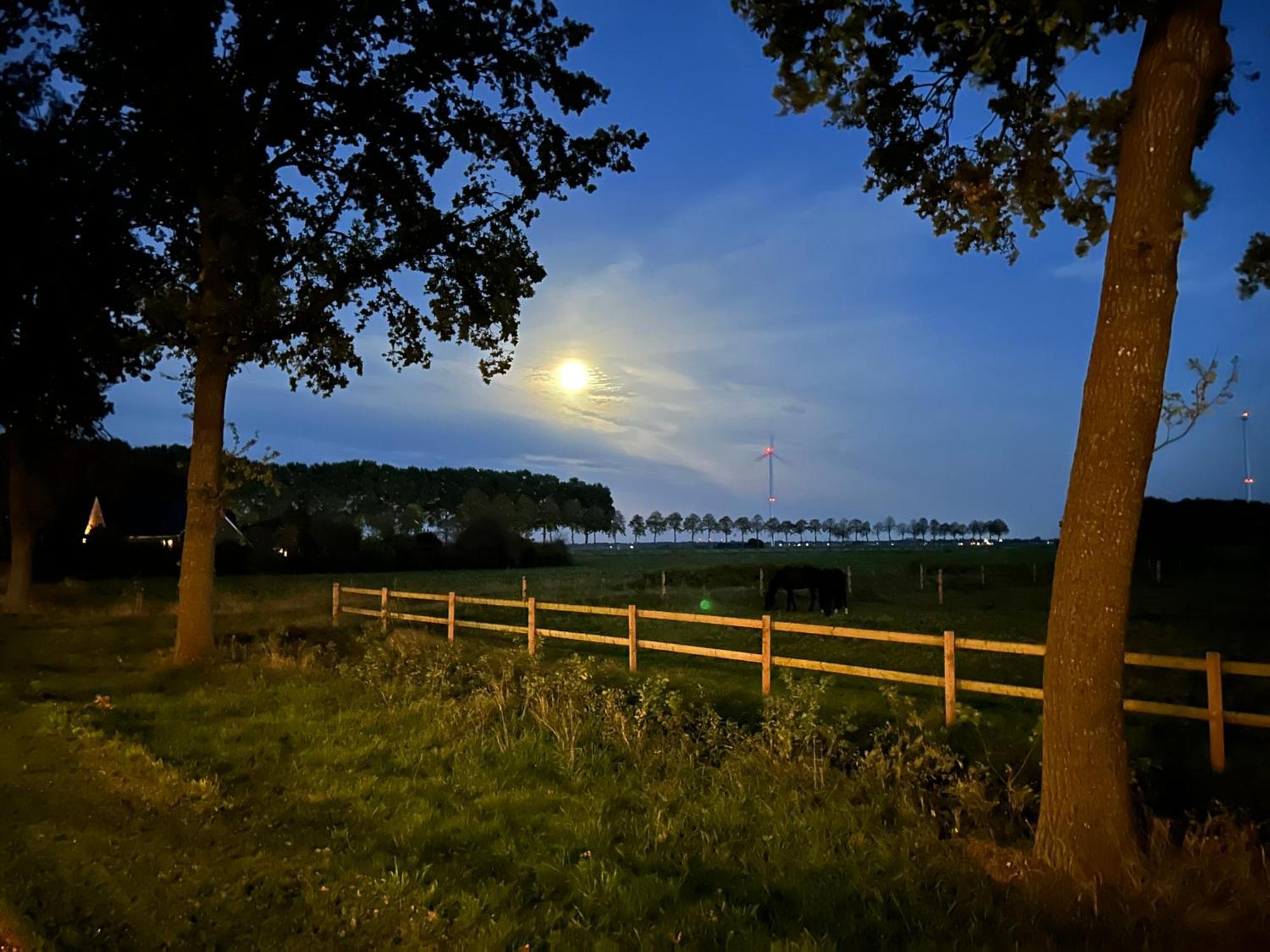 De Cordobahoeve Tweede Exloermond Exterior foto